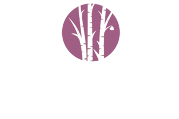 birch tree acupuncture